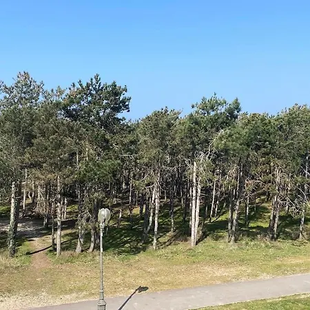 Lumineux 2 Chambres, A 2 Min De La Apartament Le Touquet