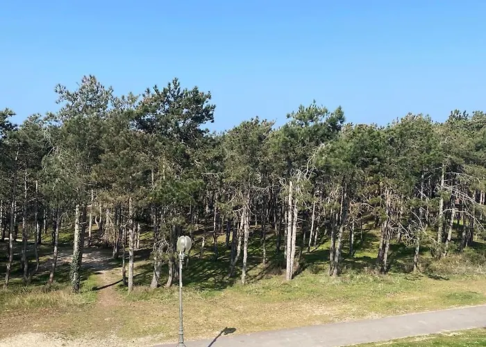 Lumineux 2 Chambres, A 2 Min De La Apartman Le Touquet